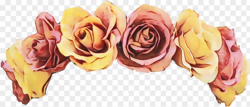 Rose Order Petal Garden Roses PNG