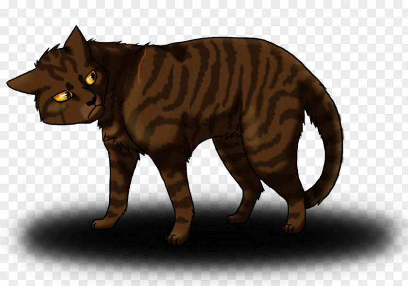 Tiger Cat Brambleclaw Warriors: The New Prophecy PNG