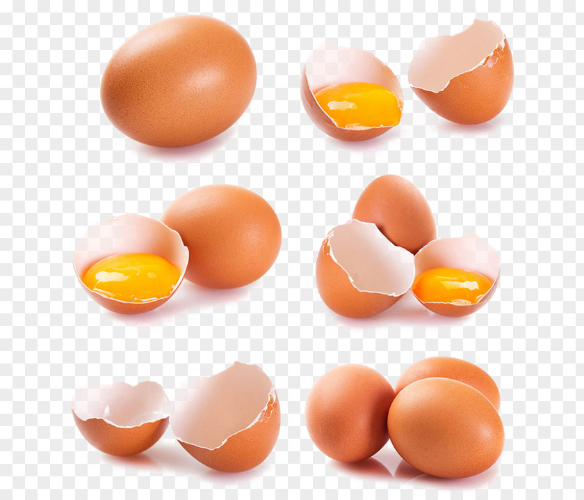 Egg Chicken Salted Duck PNG