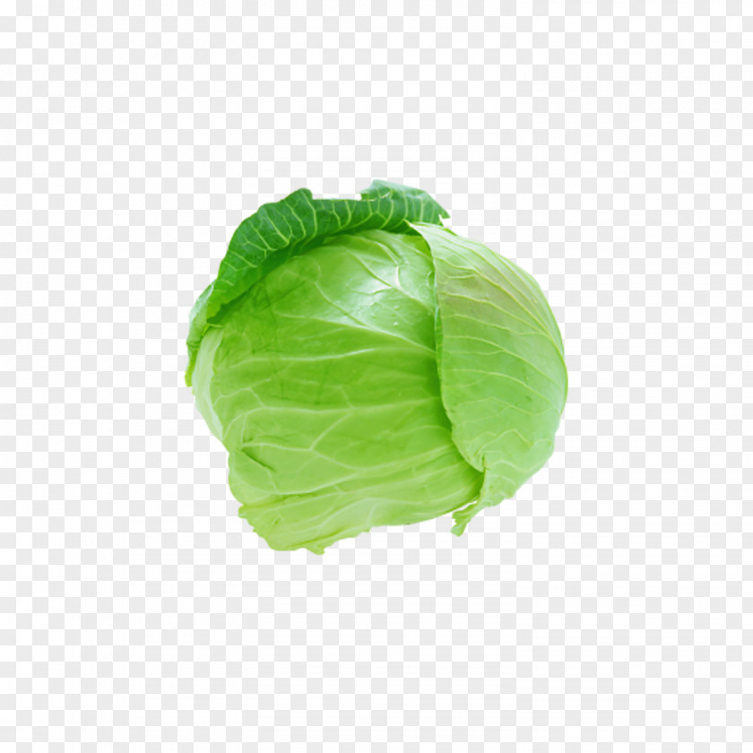 Fresh Vegetables Cabbage Savoy Cauliflower Broccoli PNG
