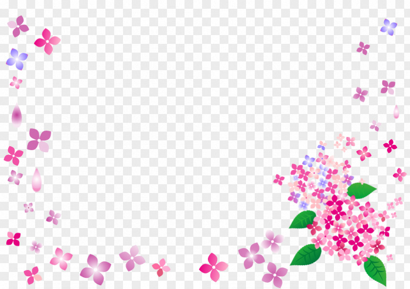 Hydrangea Flower Frame. PNG