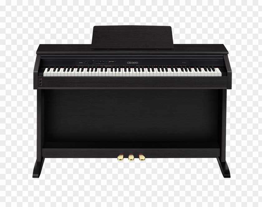Piano Digital Privia Casio Electronic Keyboard PNG
