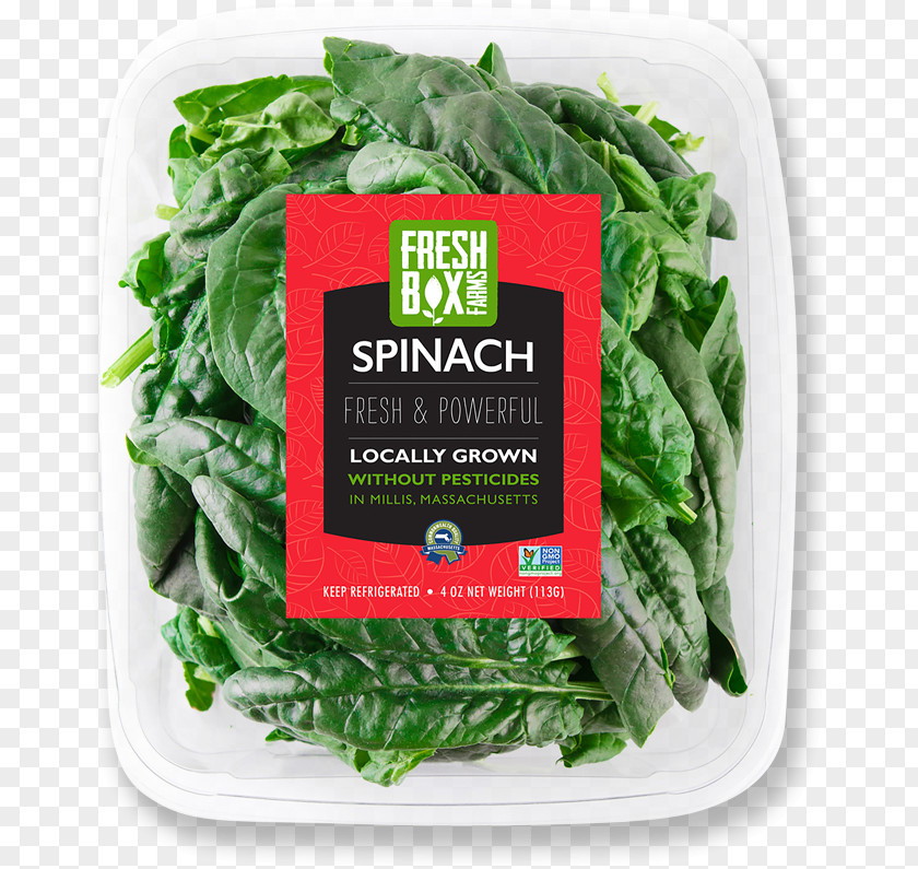Spinach Vegetarian Cuisine Spring Greens Chard Rapini PNG