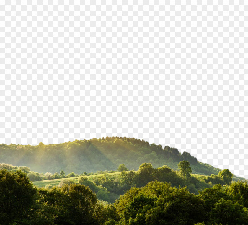 Beautiful Mountain Scenery Field Nature Landscape Display Resolution Wallpaper PNG