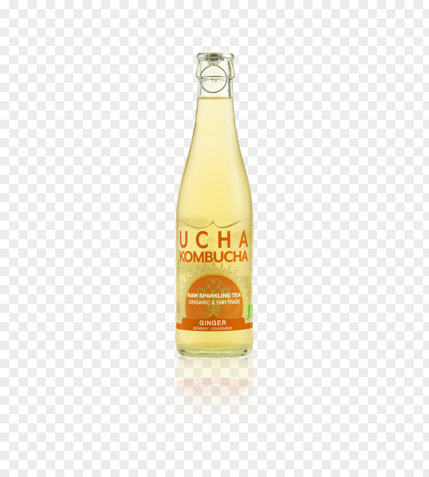 Fermented Tea Orange Drink Kombucha Kefir Juice PNG