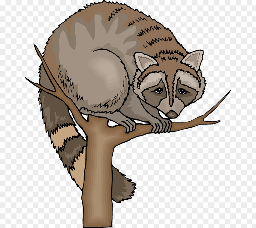 Funny Raccoon Cliparts Baby Tree Clip Art PNG