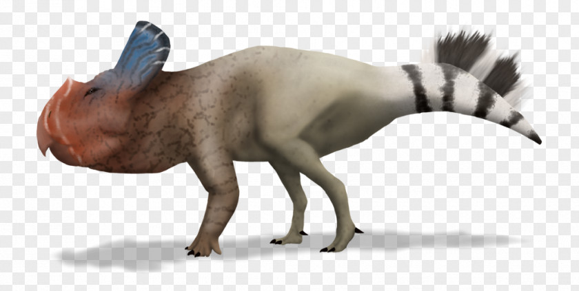 Paleoart Protoceratops Horned Dinosaurs Dog DeviantArt Ornithischian PNG