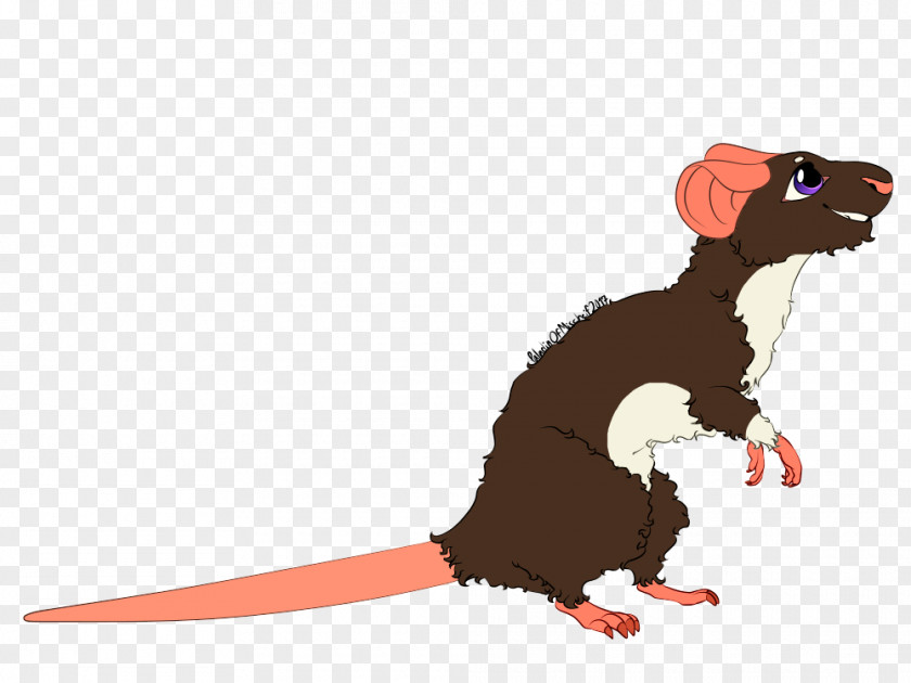 Rat & Mouse Rodent Muroidea Mammal PNG