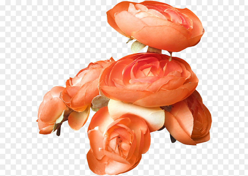 Rose Blue Flower Orange S.A. PNG