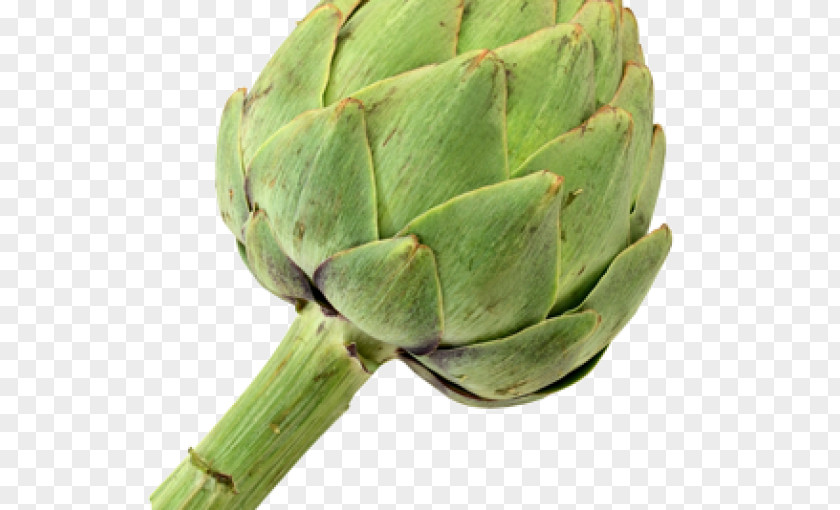 Stock Photography Image She-Ra Jewelry Artichoke PNG