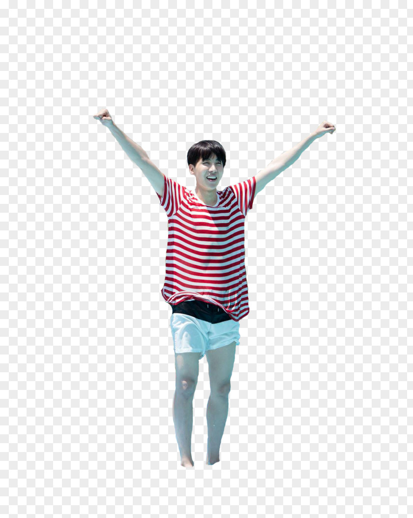 Wings BTS K-pop South Korea Costume PNG