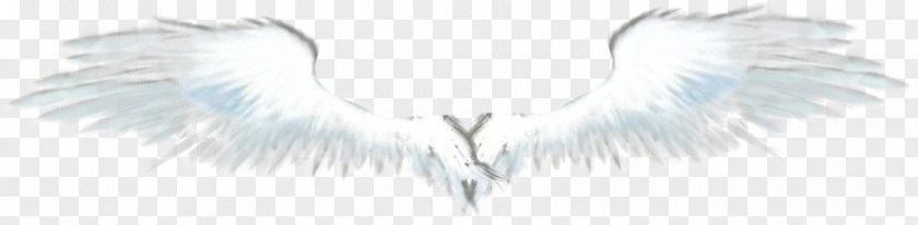 Eagle Wings Angel Feather Neck Font PNG