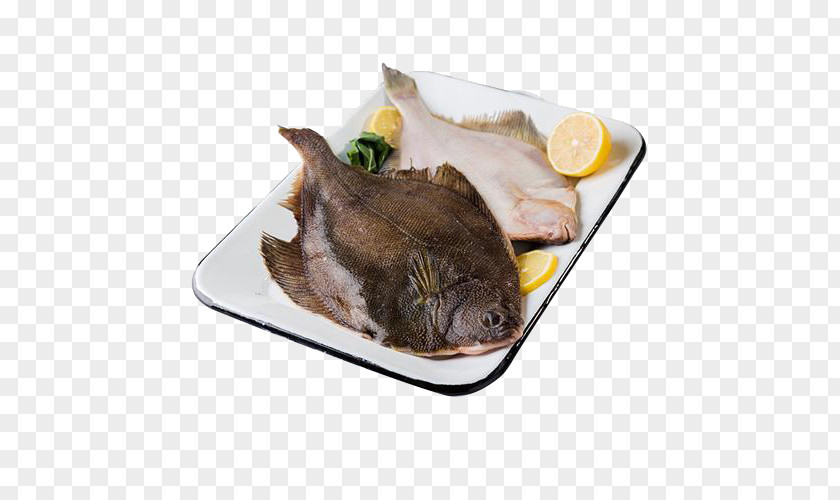 Frozen Gold Plaice Seafood European Pleuronectidae Flatfish PNG
