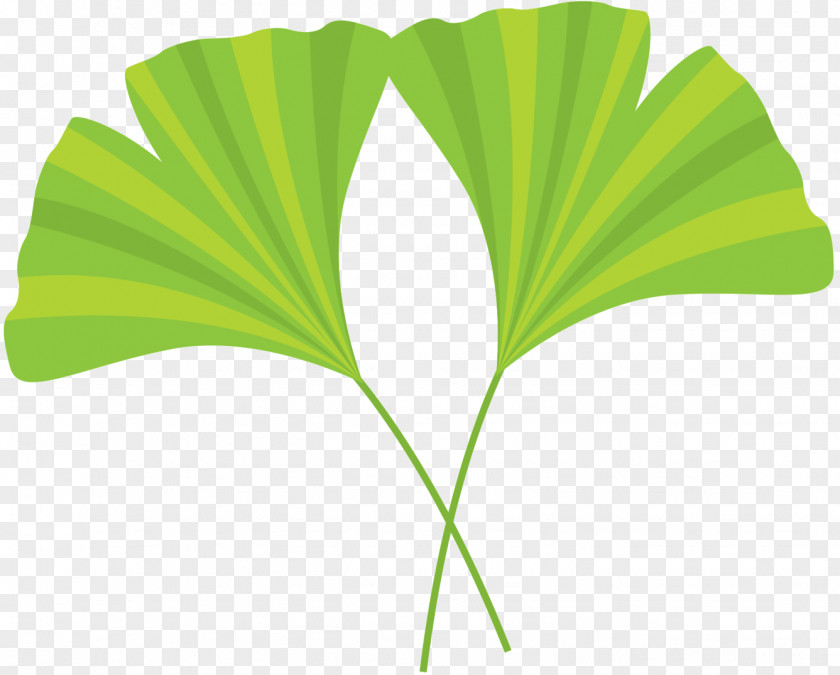 Tree Plant Stem Font Line Leaf PNG