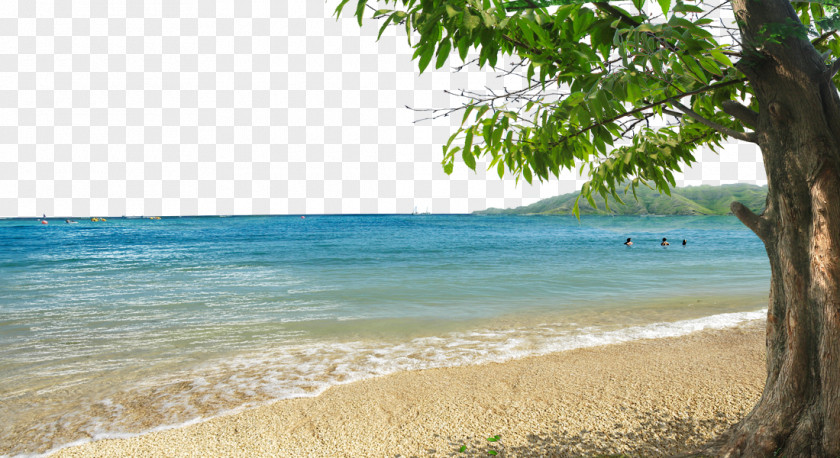 Bay Beach Background Material Shore PNG