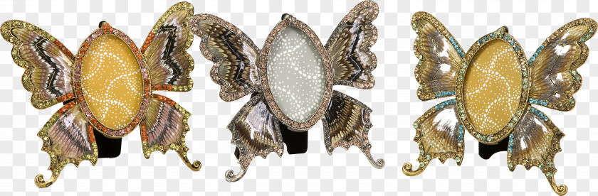 Butterfly Body Jewellery IMAX Picture Frames PNG