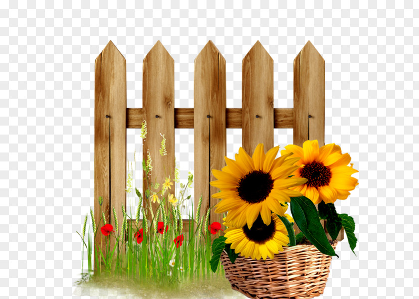 Garden Fence Picket Gate Door Clip Art PNG