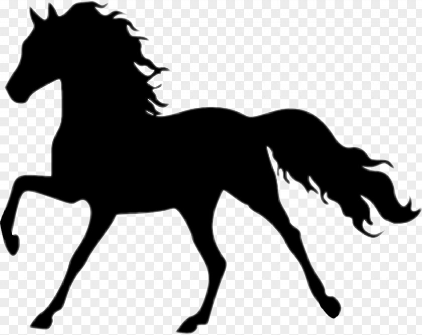 Horse Mane Animal Figure Silhouette Stallion PNG