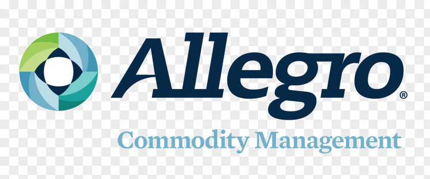Allegro Development Corporation Company Risk Management PNG
