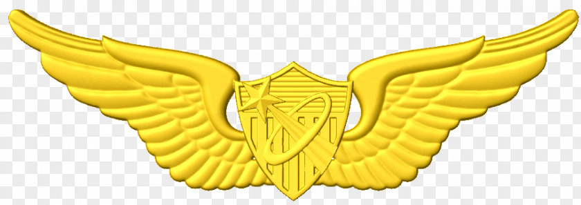 Freefall Badge Clip Art Aviator Aircraft Pilot United States Astronaut PNG