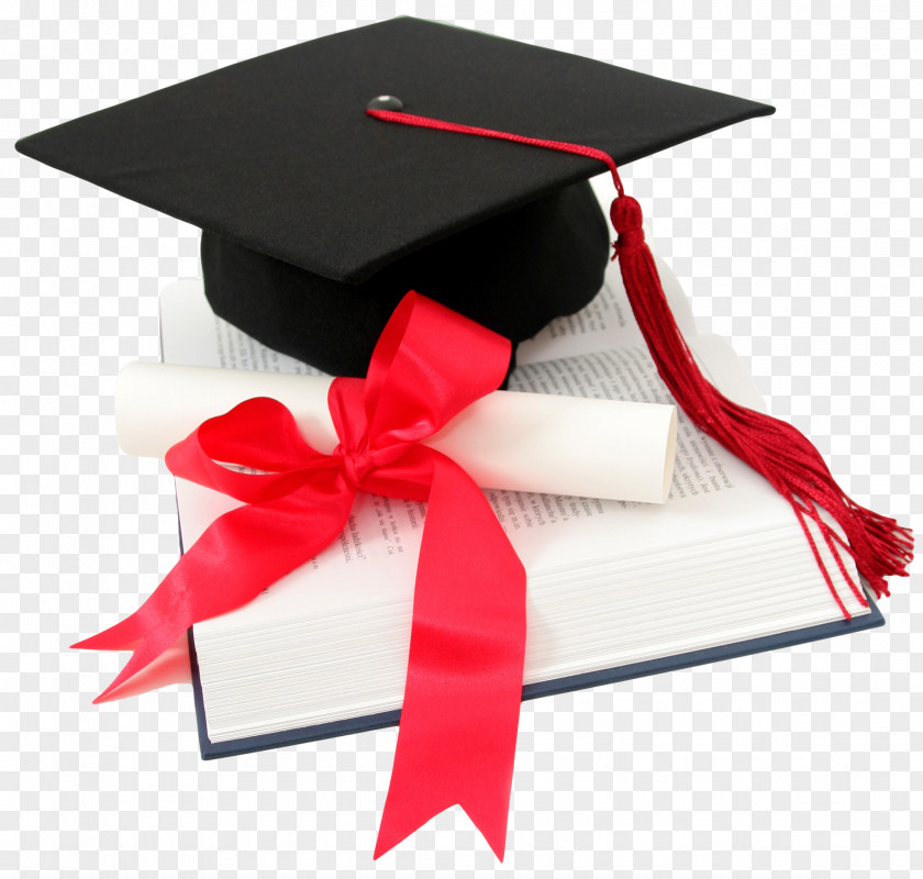 Graduation Student Diploma Academic Degree Ceremony Education PNG