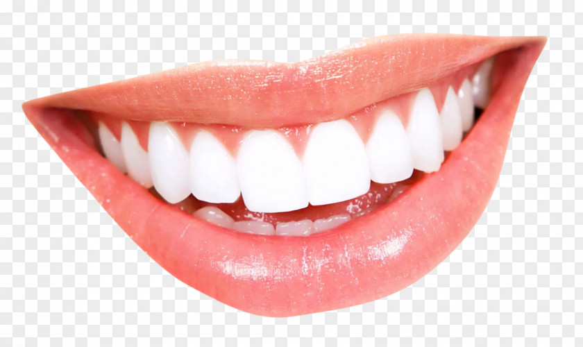 Smile Mouth Human Tooth PNG
