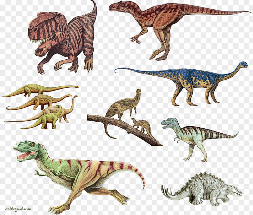 Troodon Toy Cat Background PNG