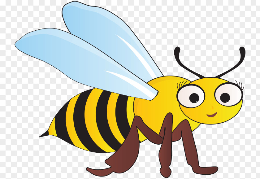 Bumblebee Insect Honey Bee Meet The Bugs Butterfly PNG