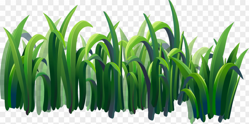 Green Grass Borders Illustration PNG