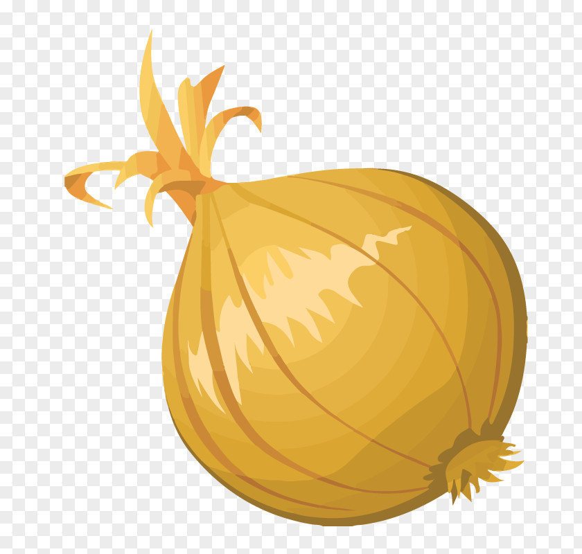 Onion Clip Art Blooming Openclipart Afghan Cuisine PNG