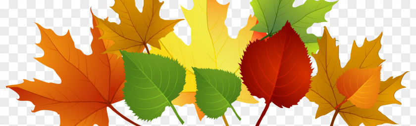 Autumn Clip Art Leaf Color Borders And Frames Image PNG