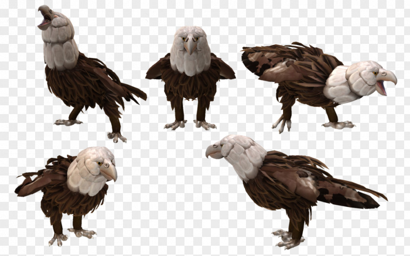 Creature Spore Creator Creatures Bald Eagle Bird PNG