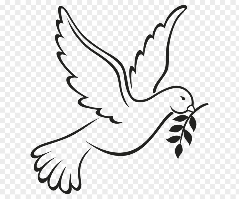 Flying Hope Columbidae Doves As Symbols Peace Drawing PNG