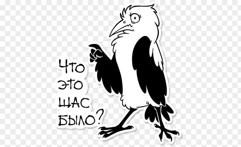 Telegram Sticker Clip Art Owl Beak PNG