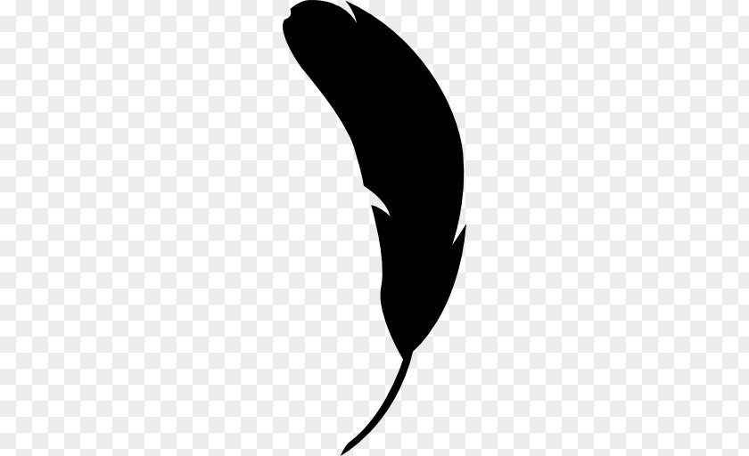 Black Feather Bird Shape Animal PNG