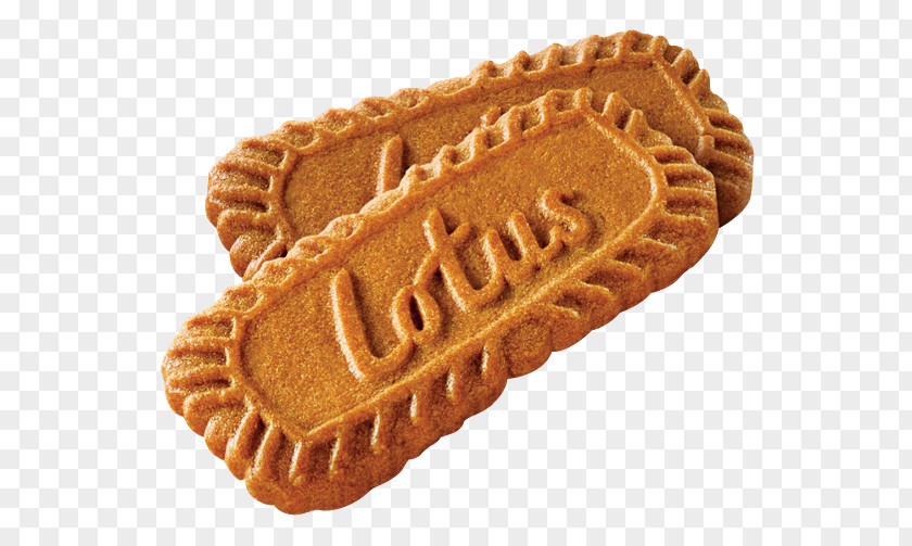 Custard Cream Dessert Lotus Background PNG