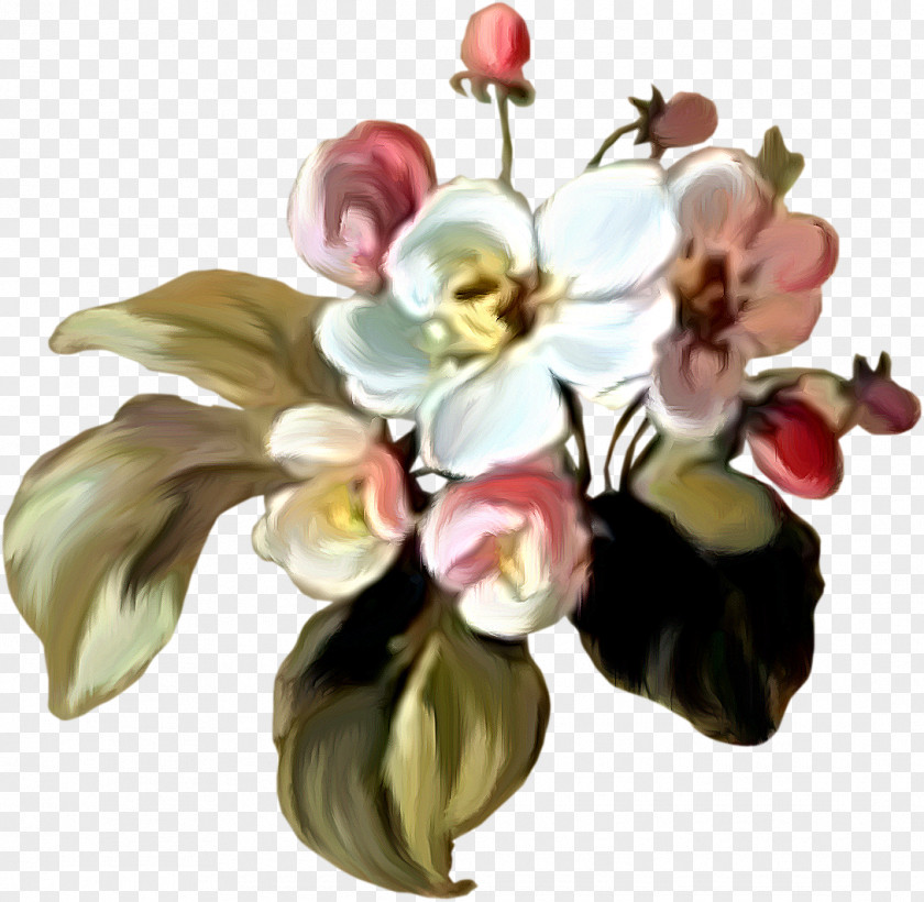 Flower Floral Design Cut Flowers Clip Art PNG