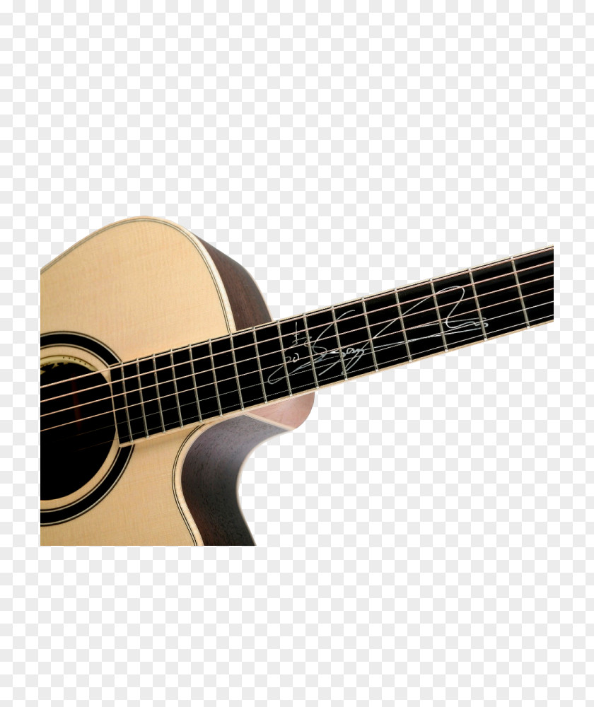 Guitar Ukulele Lakewood Guitars Flatpicking Fingerstyle PNG