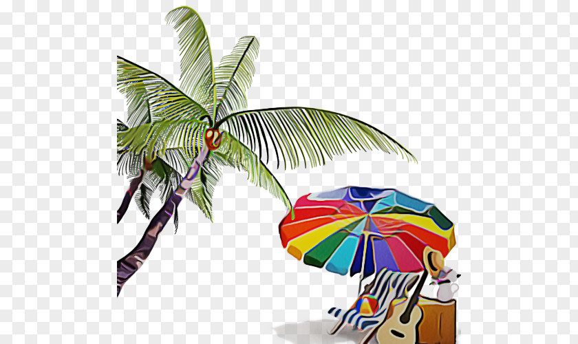 Umbrella Woody Plant Palm Tree PNG