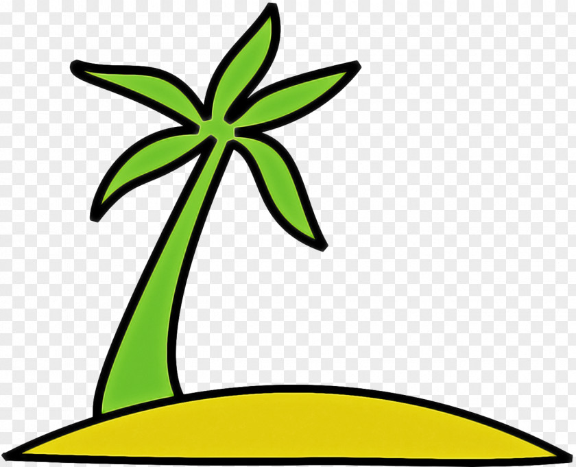 Arecales Blackandwhite Palm Tree Drawing PNG