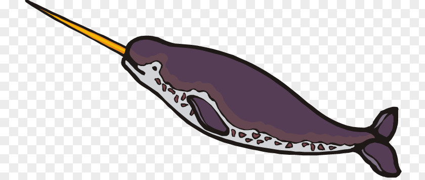 Baby Narwhal Cliparts Toothed Whale Clip Art PNG
