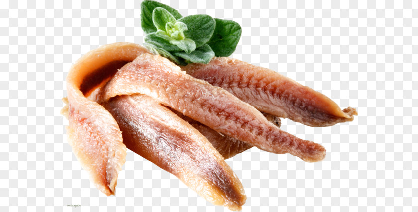 Pizza European Anchovy Anchovies Fish Products PNG