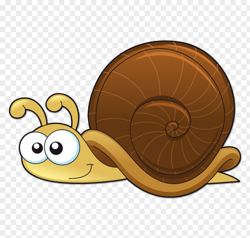 Snail Snails And Slugs Drawing Animation PNG