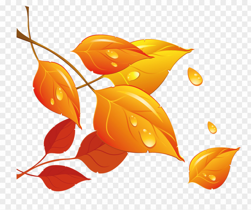 Transparent Fall Leaves Clipart Autumn Leaf PNG