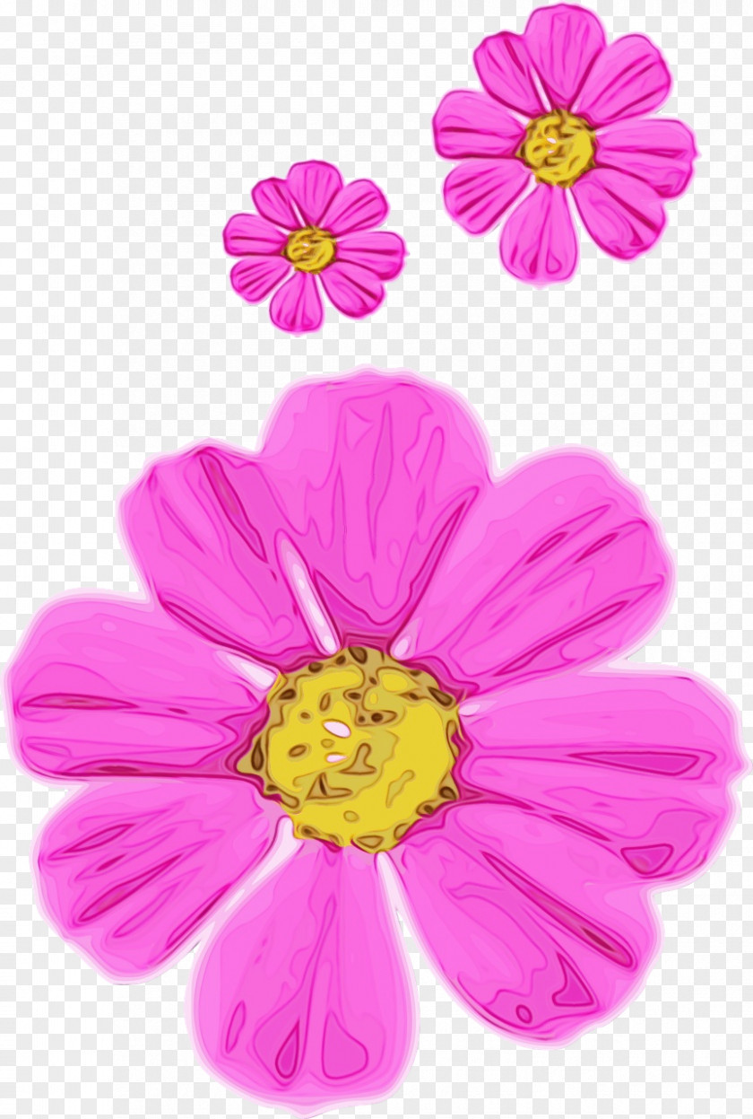 Wildflower Herbaceous Plant Petal Flower Pink Flowering PNG