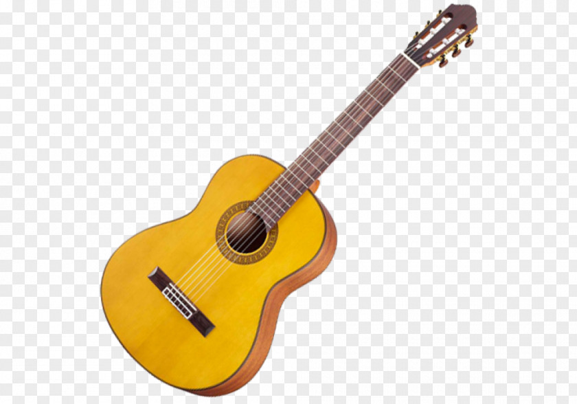 Acoustic Guitar Classical Electric Epiphone PNG