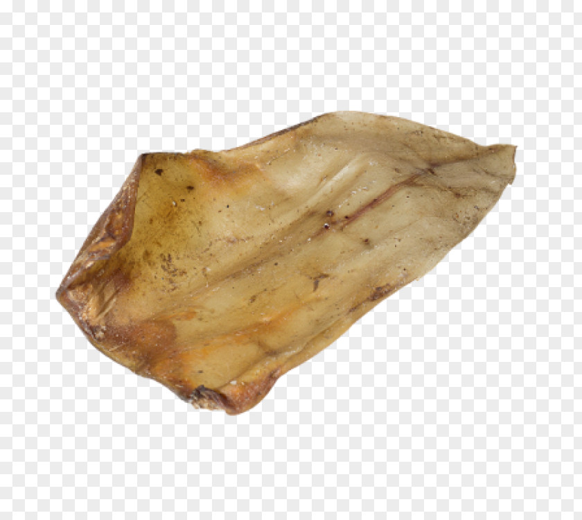 Dog Biscuit Beef Cattle Pizzle Food PNG