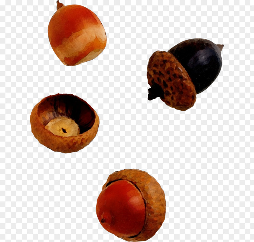 Food Hazelnut Acorn Chestnut Fruit Oak Leaf PNG