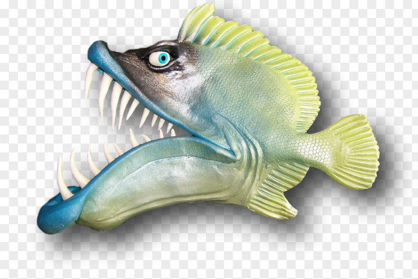 Marine Biology Fish PNG