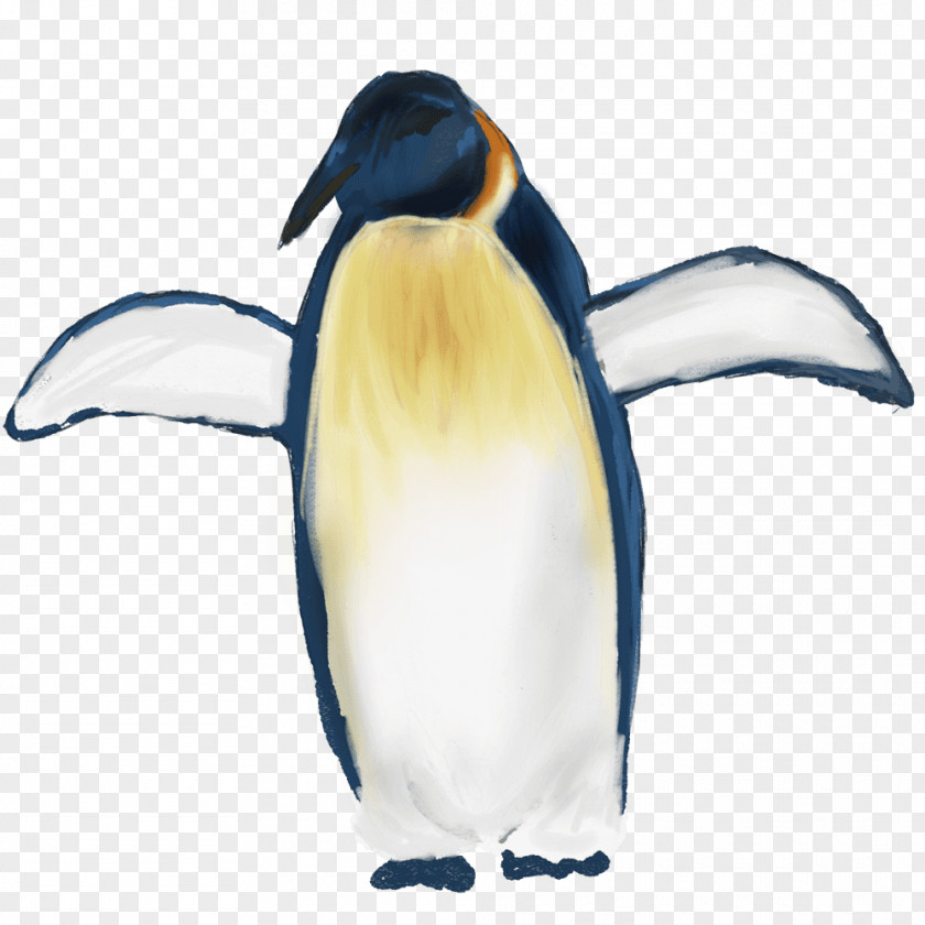 Penguin King Animal Illustration Image PNG